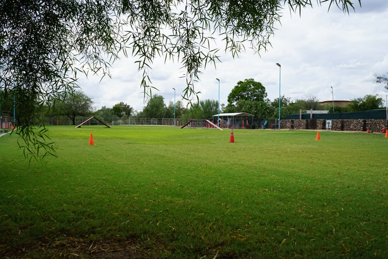 Partners Dogs Cave Creek campus — Lone Tree Ranch on E Forest Pleasant Pl