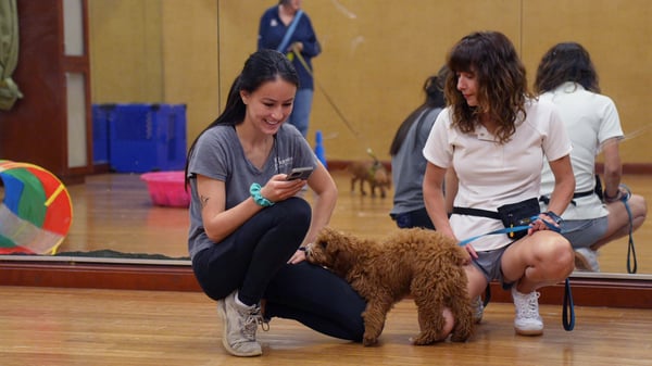 Senior Partners Dogs trainer coaching a CGC-prep handler at a Scottsdale class