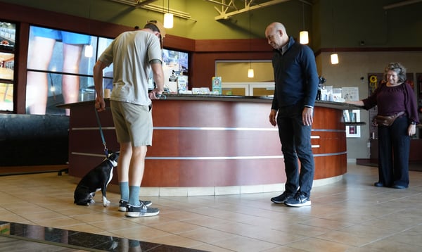 Partners Dogs trainer connecting with a dog