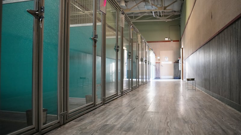 Partners Dogs Scottsdale campus — 8642 E Shea Blvd, Pima Crossings