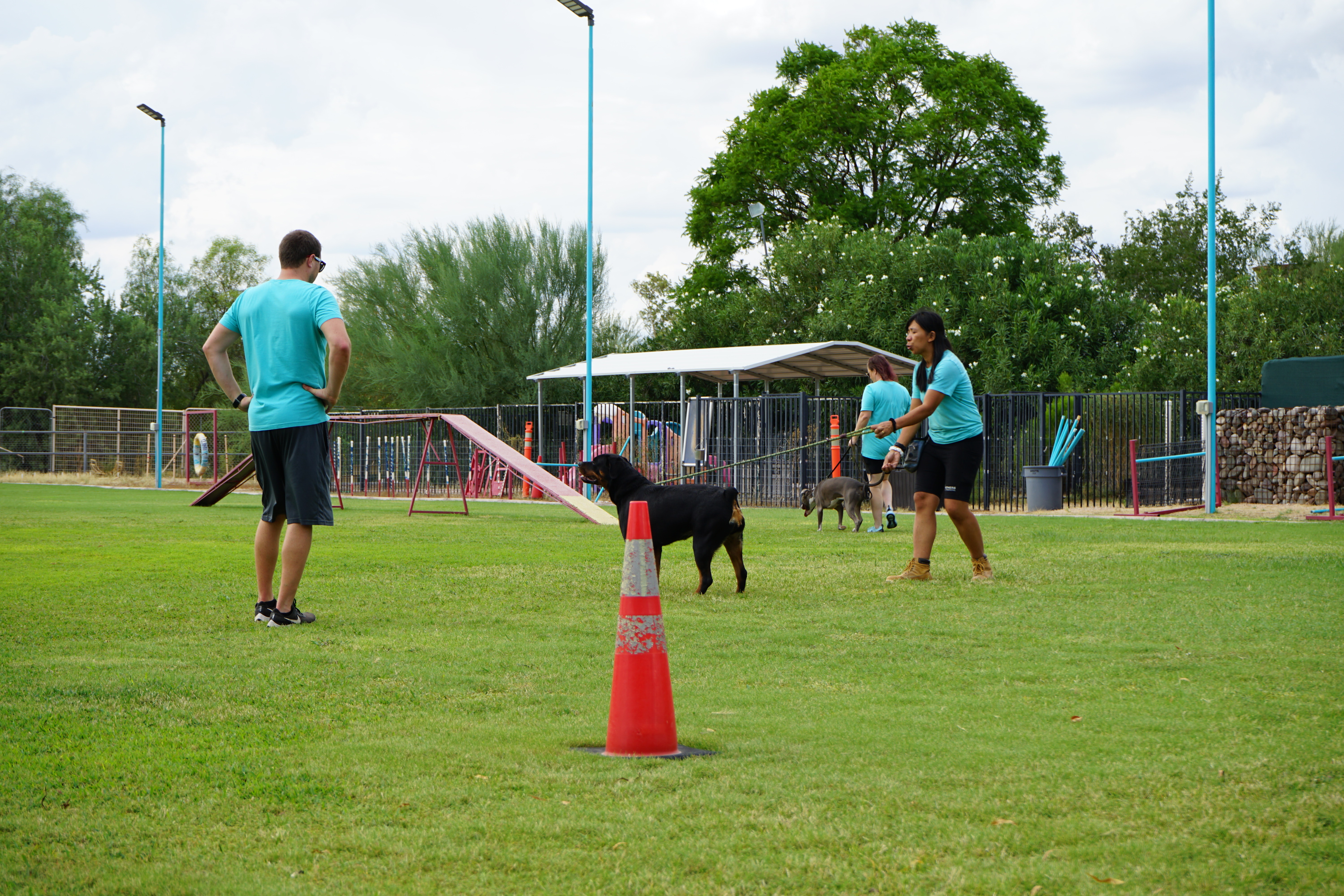 Holiday dog boarding planning at Partners Dogs Scottsdale and Cave Creek