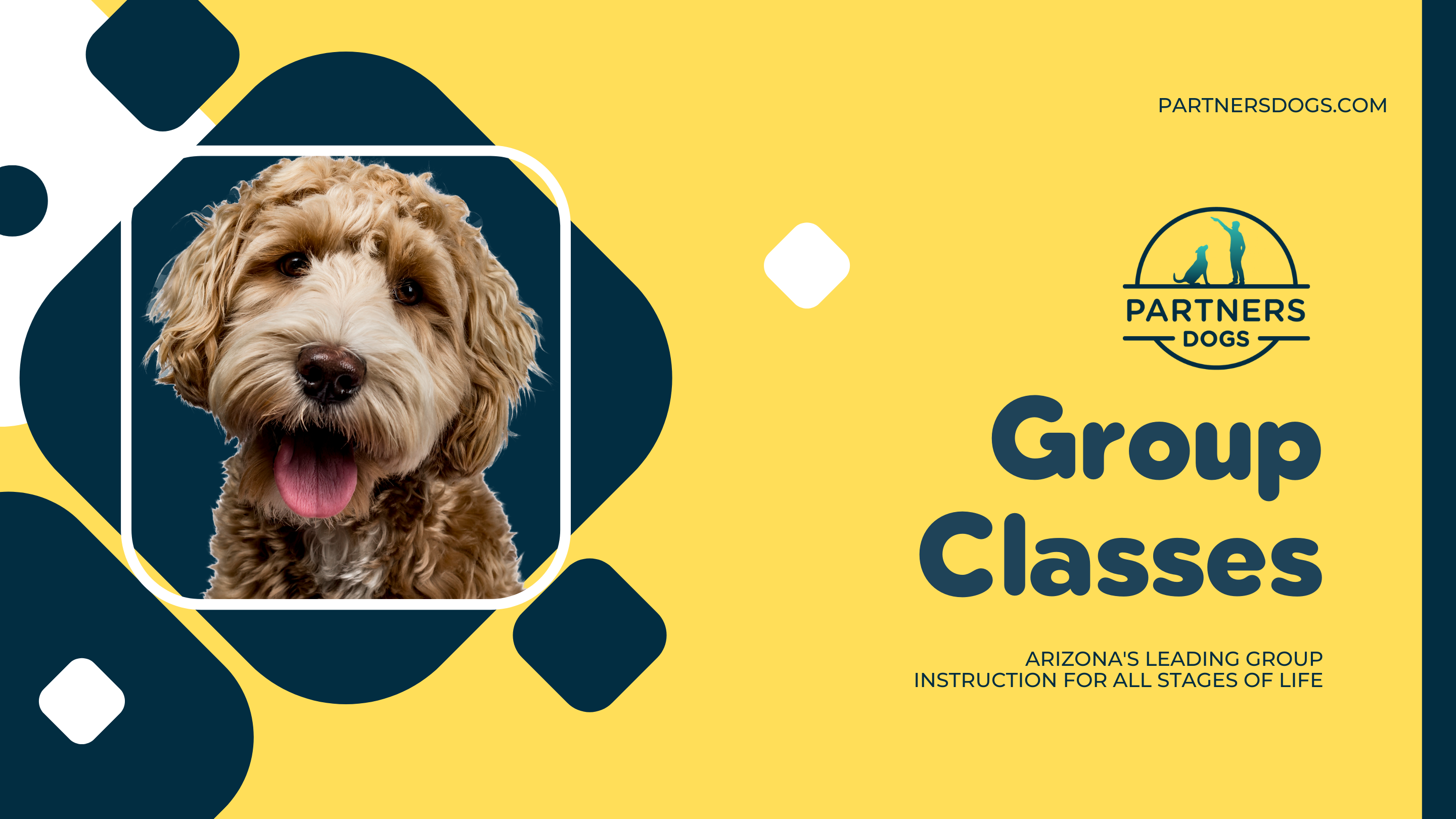 Partners Dog School Pet Parenting Group Class — group lineup